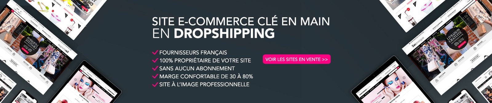 Site e commerce a vendre en dropshipping